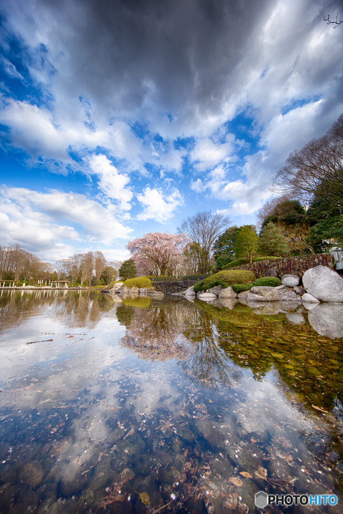 裏のチャンネル桜編