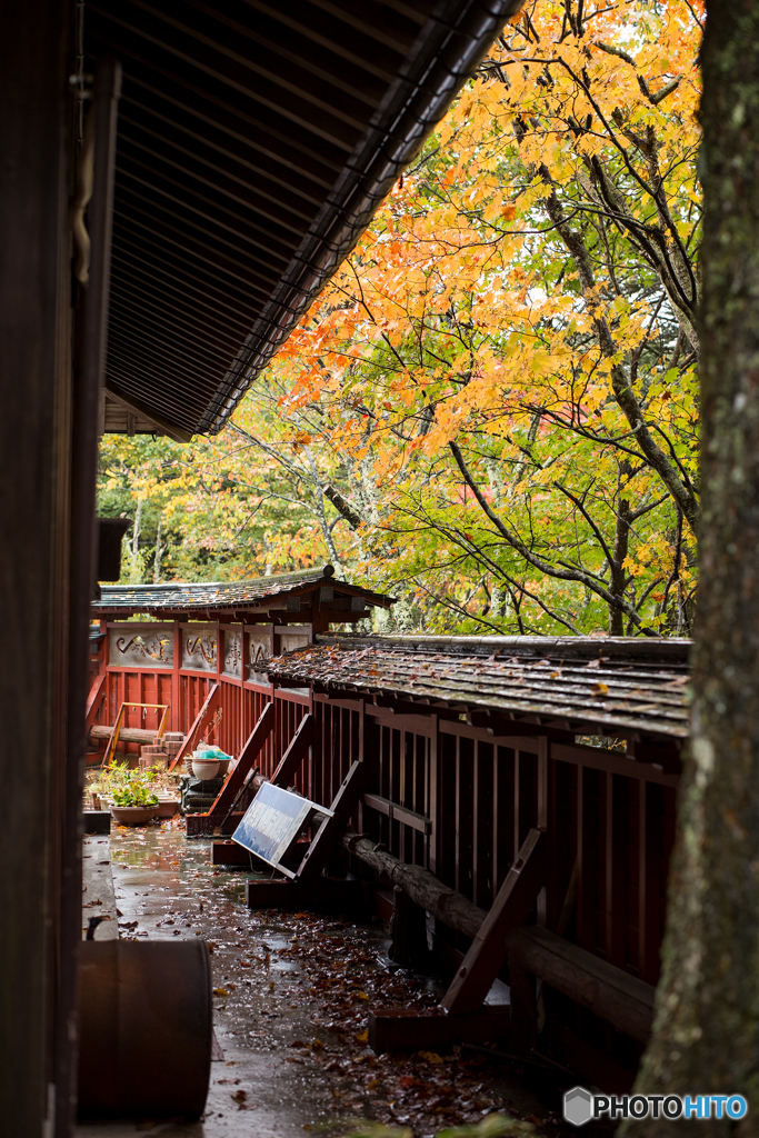 紅葉の日光