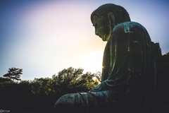 DBT
