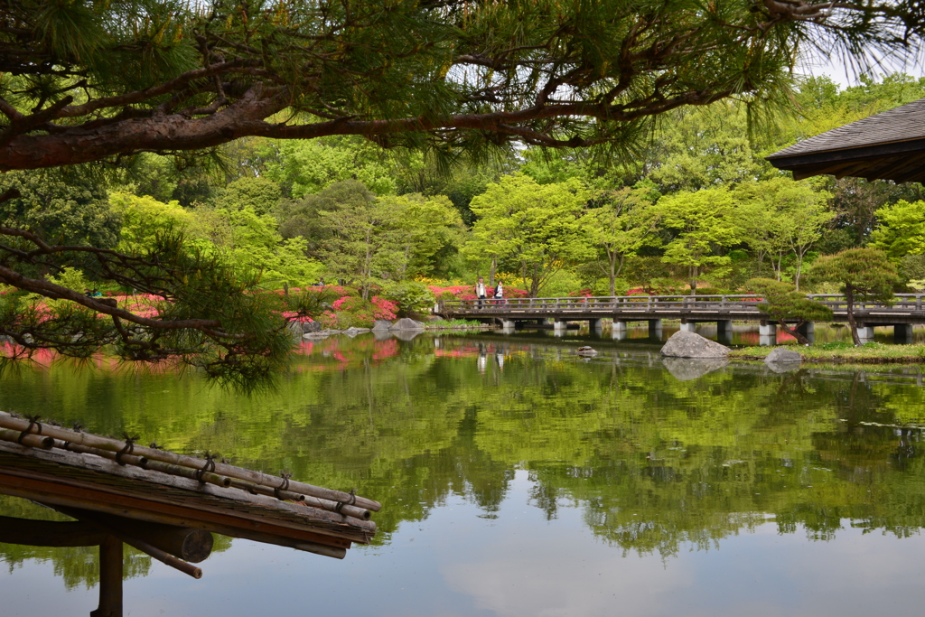 昭和記念公園