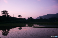 故郷の夕べ