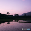 故郷の夕べ