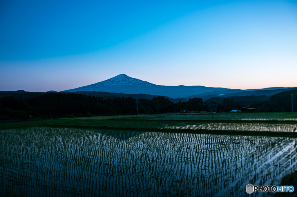 夕暮れの田んぼ