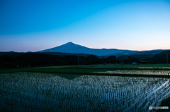 夕暮れの田んぼ