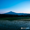 夕暮れの田んぼ