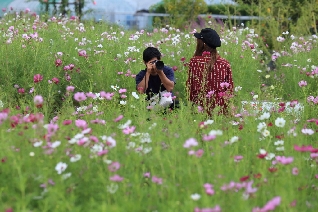 君の横顔　素敵だぜ！