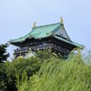 秋空に威風堂々と