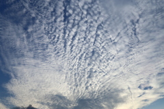 雲は空の芸術家