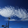 八月の空