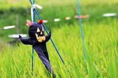 ハロウィーン案山子だよ～