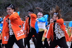 よさこい　かえる祭り　NO2
