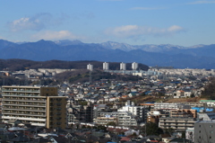 新しい年を迎えて