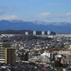 新しい年を迎えて