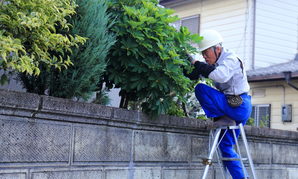 いつまでも現役で頑張ります！