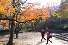 小春日和
