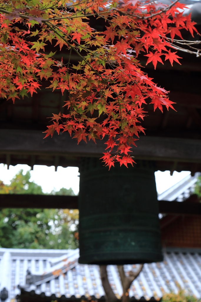 晩秋のお寺さん