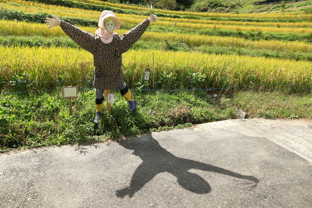 とうせんぼ