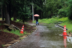 雨の遊歩道