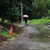 雨の遊歩道