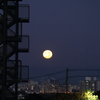 夜明け前　沈みゆくお月さん