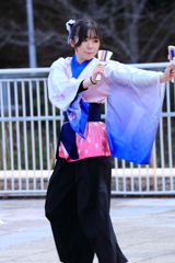 よさこい　かえる祭り　NO１