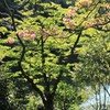 爽やかな日差しに包まれて