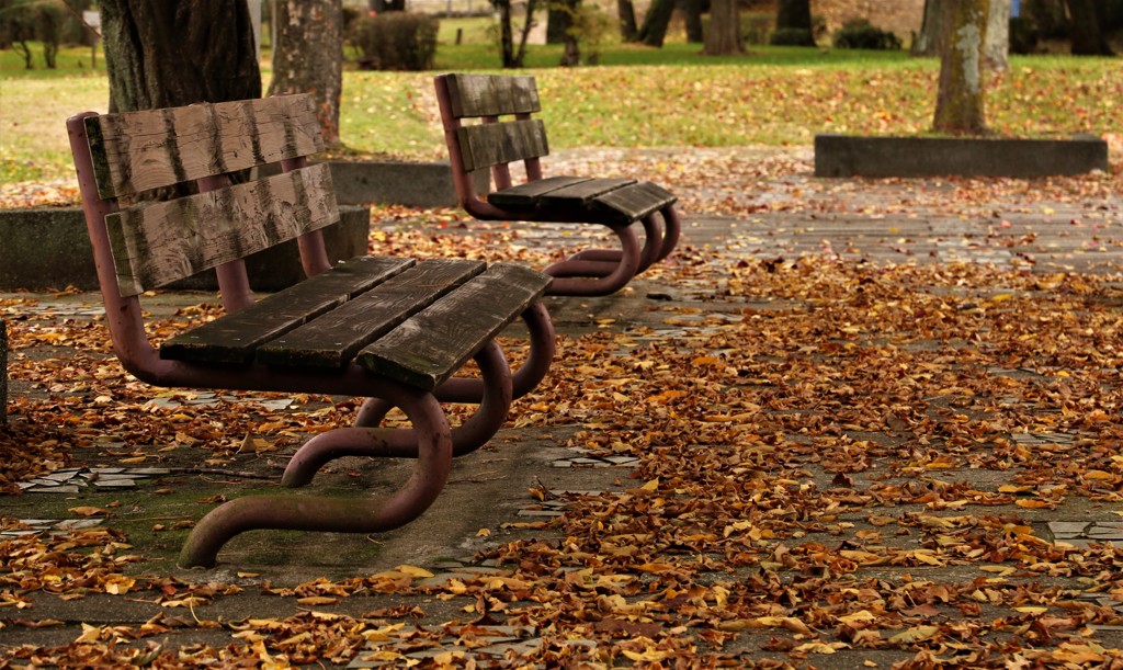 晩秋の公園のベンチ