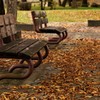 晩秋の公園のベンチ