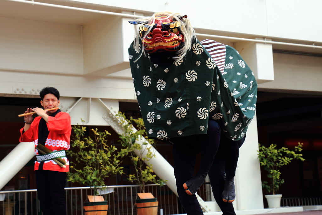 獅子舞　その1