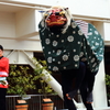 獅子舞　その1
