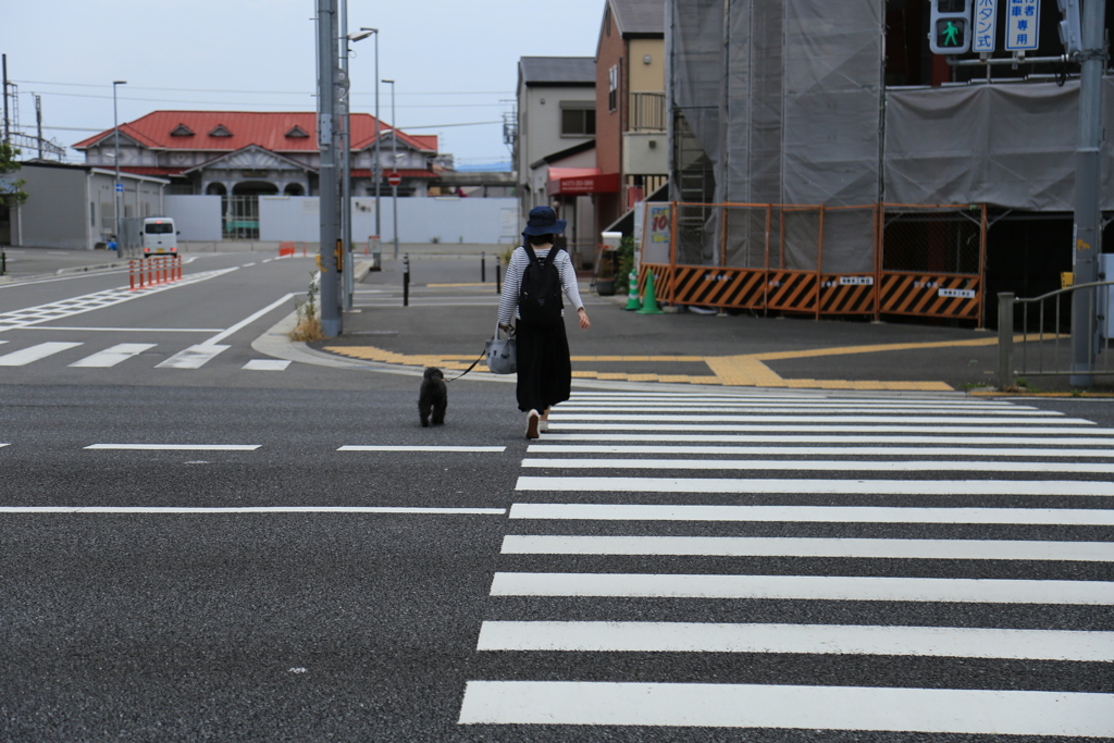 ワンちゃんとお散歩中