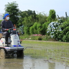 田植えの頃　2