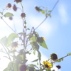 暑かった夏もそろそろ終わり、お疲れ様でした。