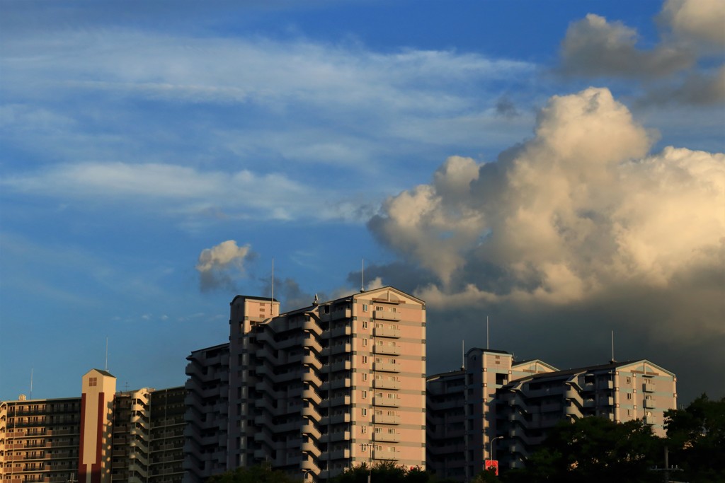 夏から秋へ、、、移ろい行く季節