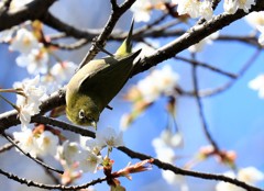 こちらの方が美味しそうだな～