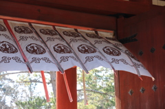 風