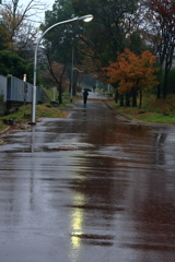 雨の朝