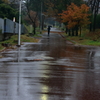 雨の朝