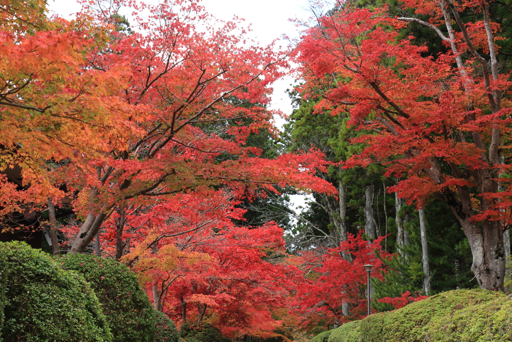 高野山　NO3