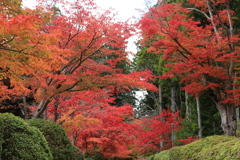 高野山　NO3