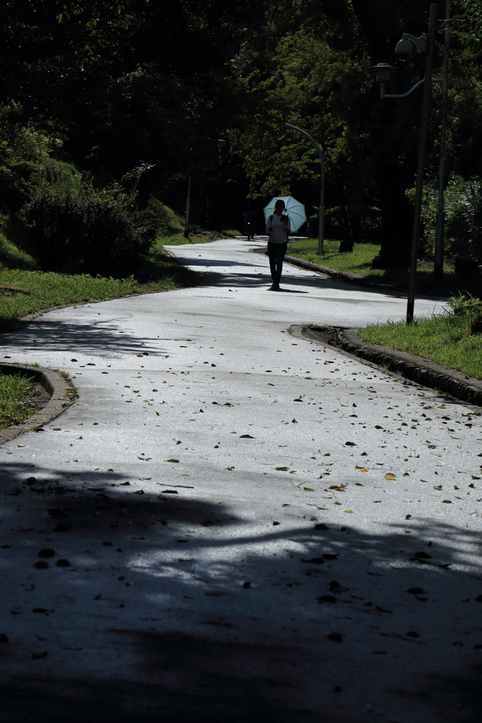 雨上がりの路