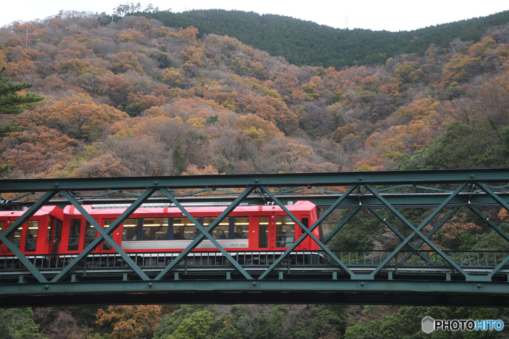 箱根路