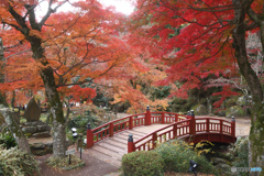 熱海梅園の紅葉