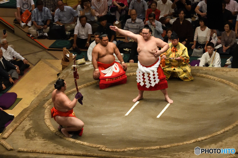 この姿、もう見られない