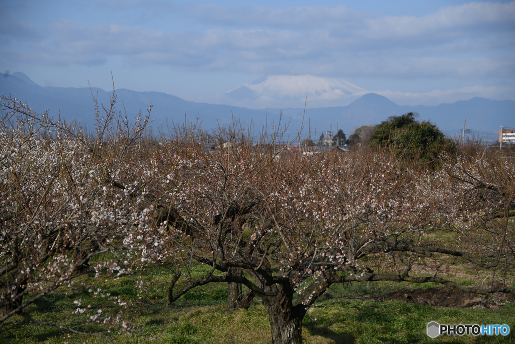 「頭」が見えない
