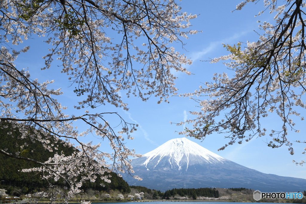 春の装い