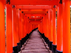 朱の道