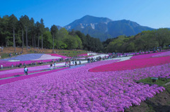 青天