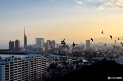 朝