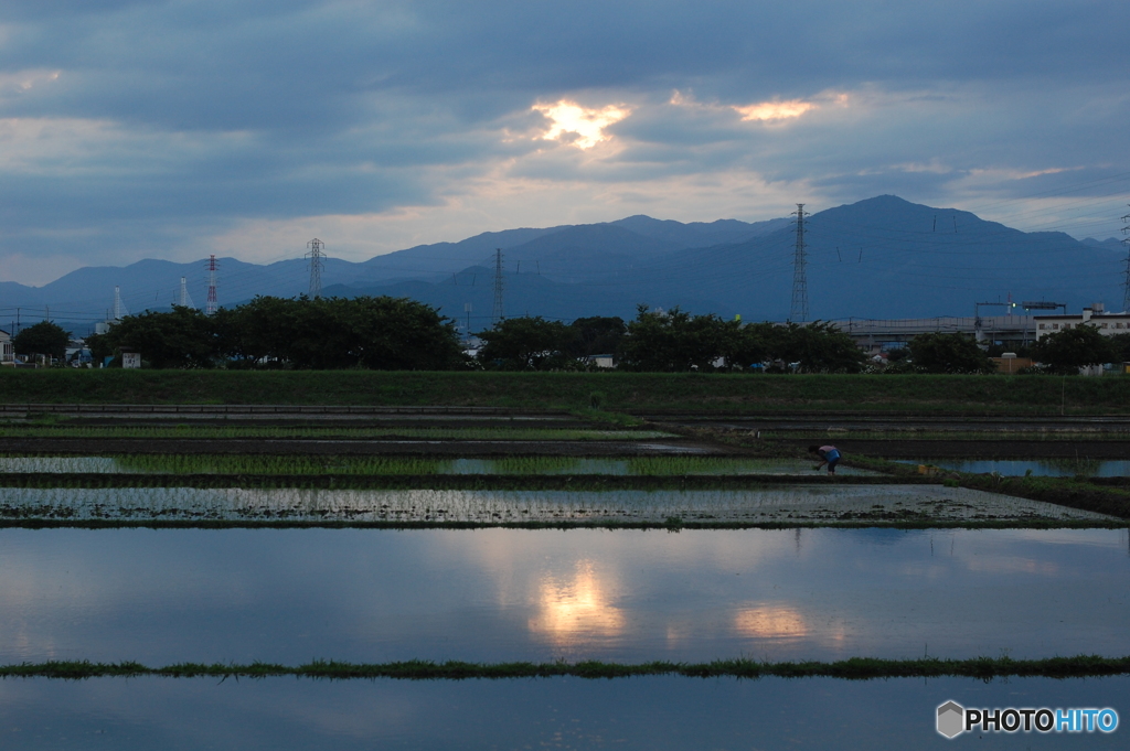 夕方のひととき